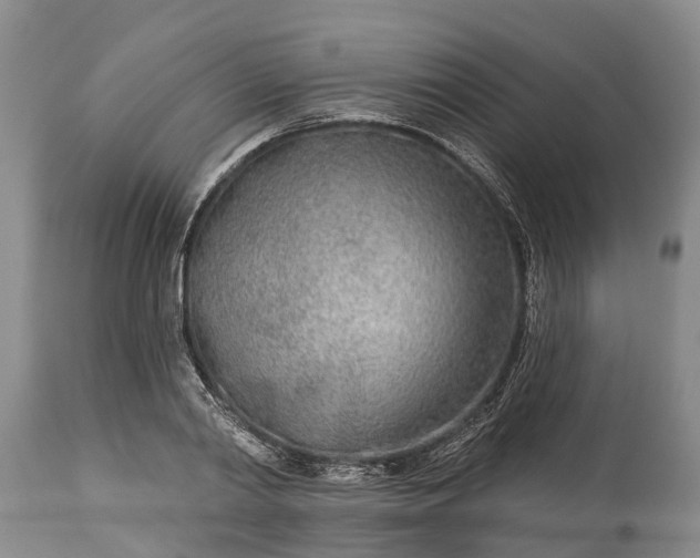 X0000115010790200911091419
