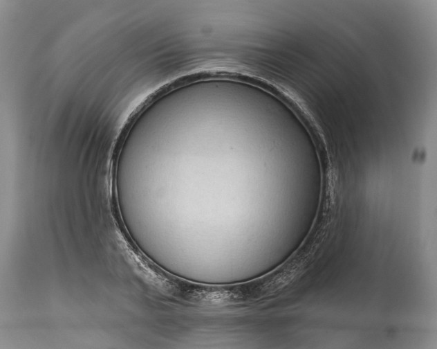 X0000115010791200911091419