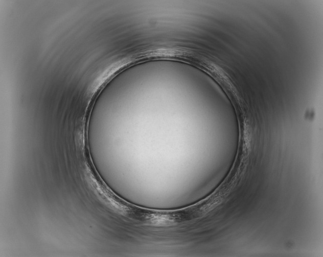 X0000115010794200911091419