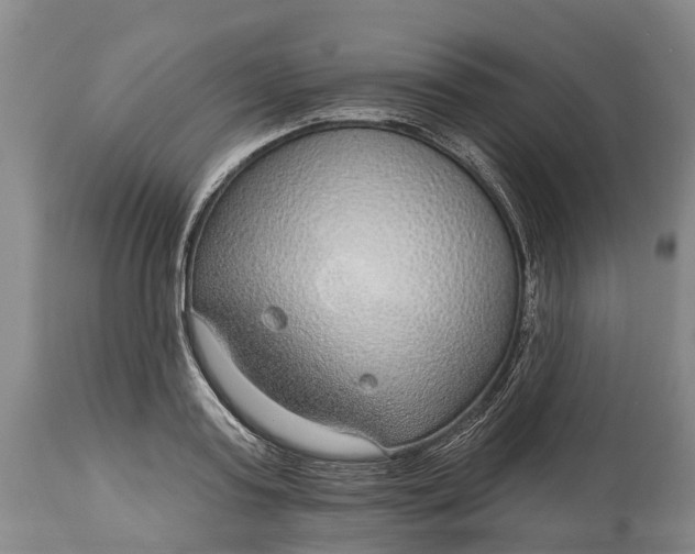 X0000115010795200911091419