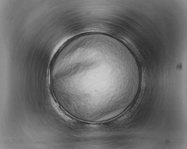X0000115010796200911091419