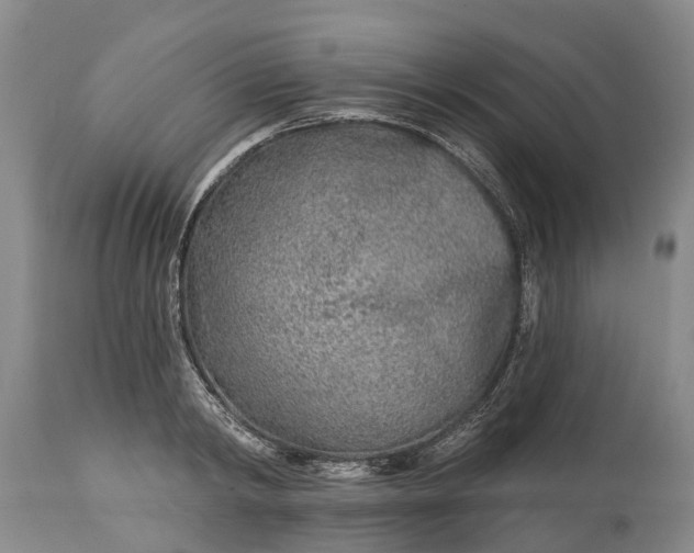 X0000115010798200911091419