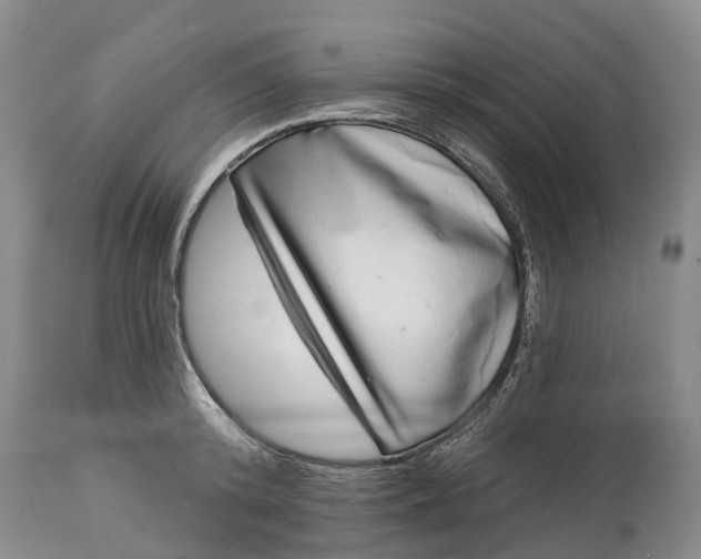 X0000115010800200911091419