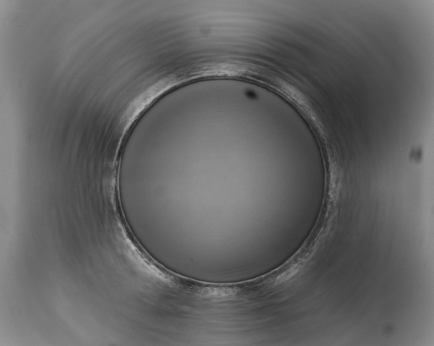 X0000115010802200911091419