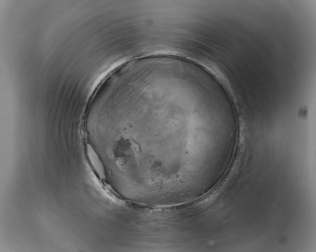 X0000115010806200911091419