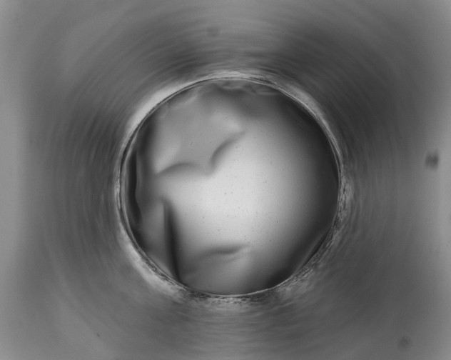 X0000115010811200911091419