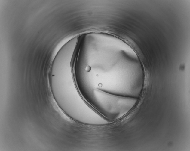 X0000115010812200911091419