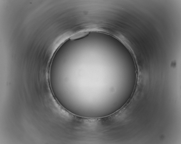 X0000115010813200911091419