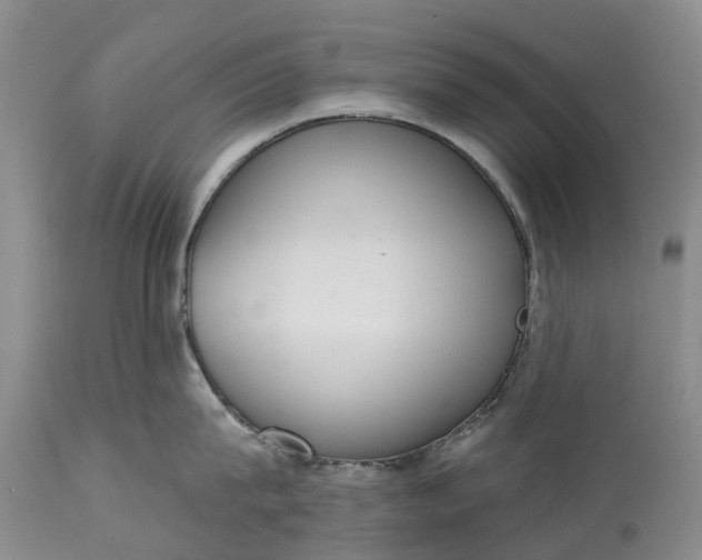 X0000115010815200911091419