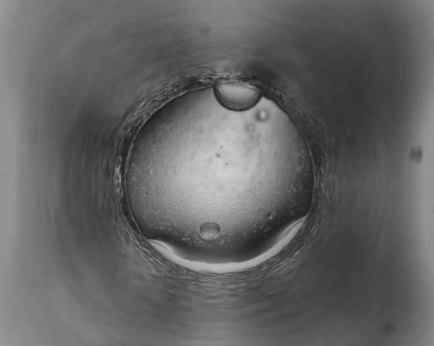 X0000115010818200911091418