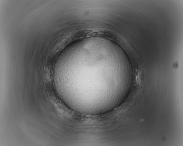X0000115010819200911091418
