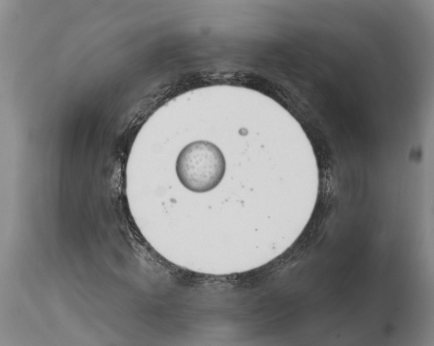 X0000115010820200911091418