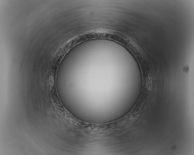 X0000115010821200911091418