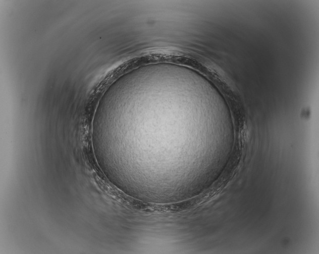 X0000115010822200911091418