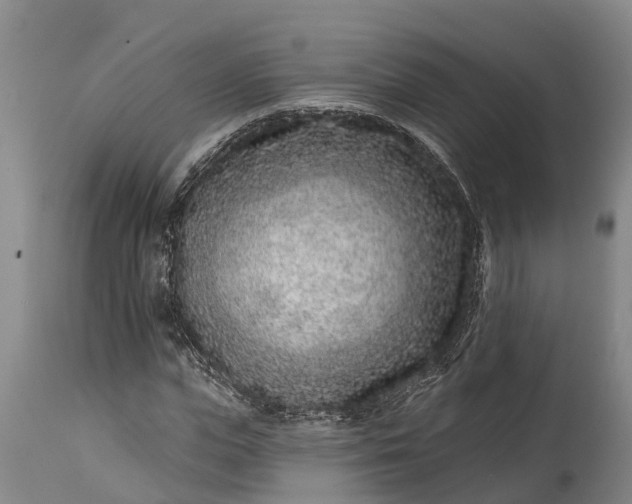 X0000115010823200911091418