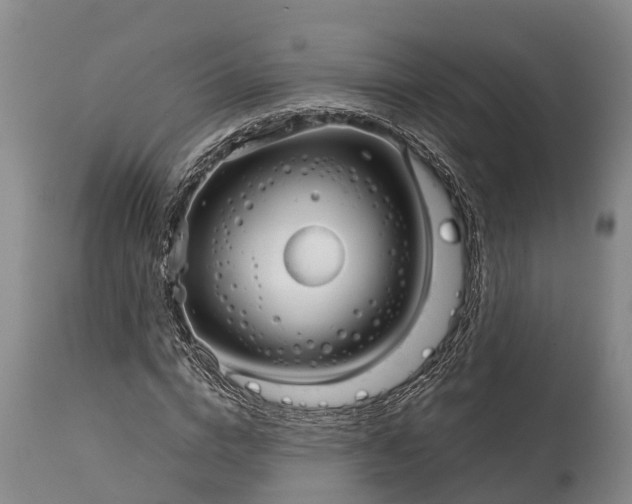 X0000115010824200911091418