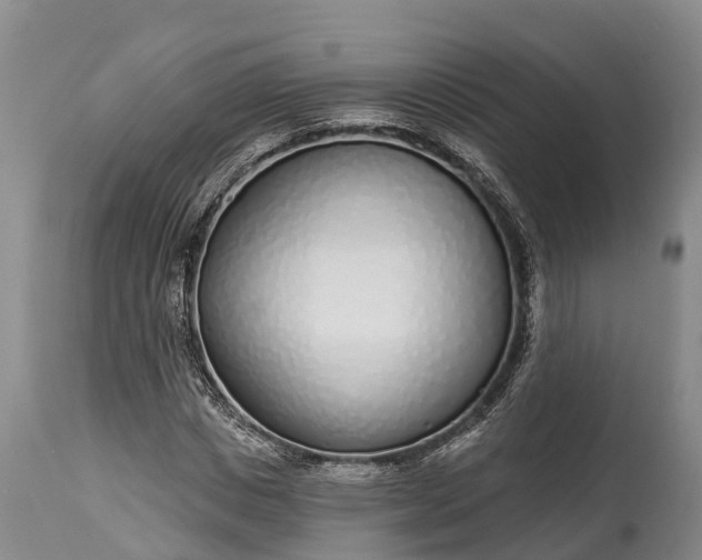 X0000115010825200911091418