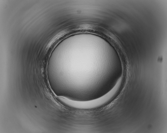 X0000115010826200911091419