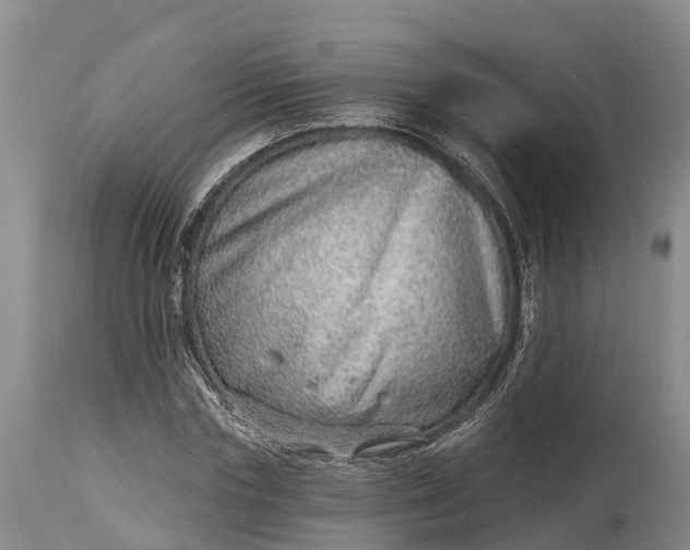 X0000115010827200911091419