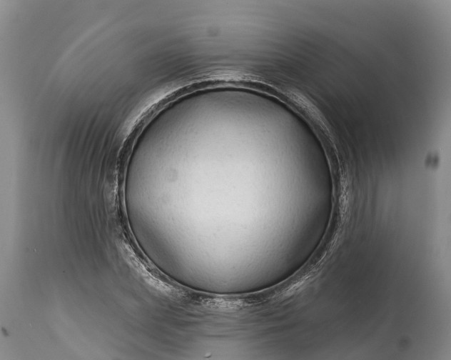 X0000115010831200911091419