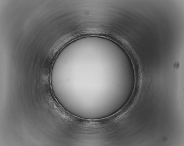 X0000115010833200911091419