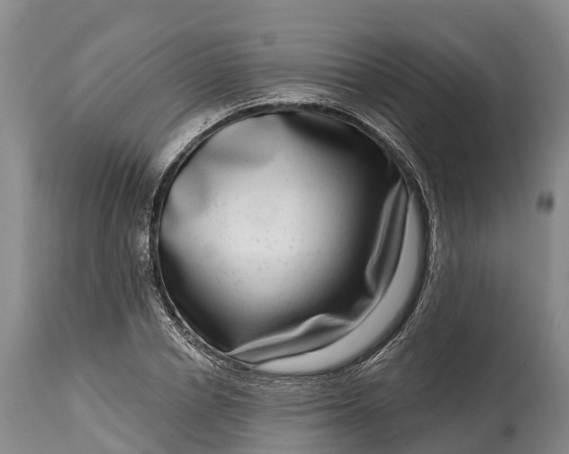 X0000115010834200911091419