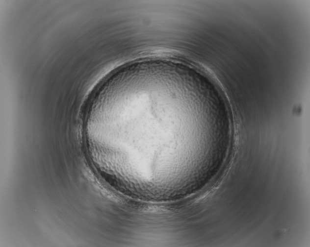 X0000115010835200911091419