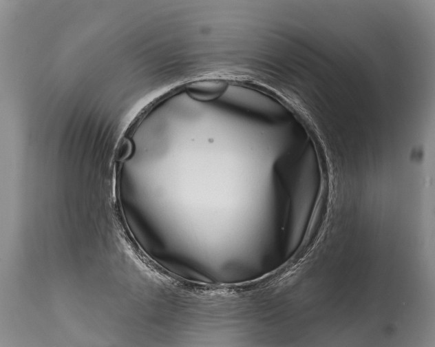 X0000115010838200911091419