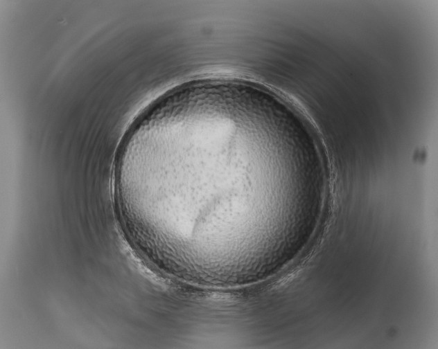 X0000115010839200911091419