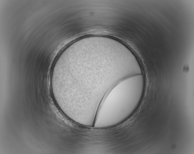 X0000115010840200911091419