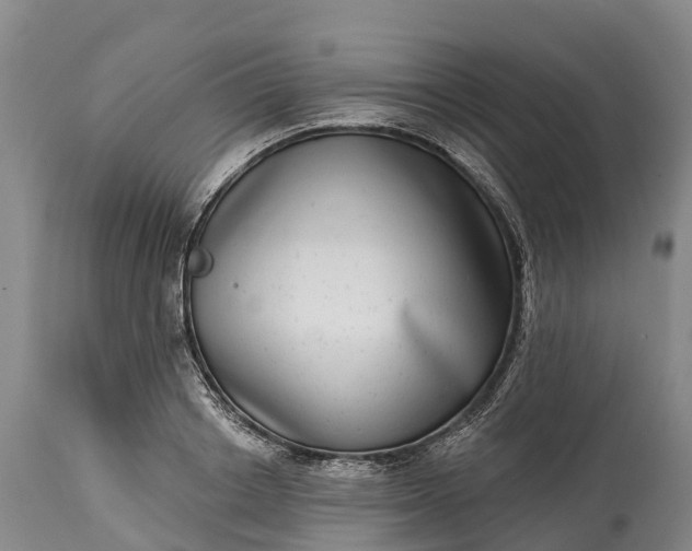 X0000115010842200911091419