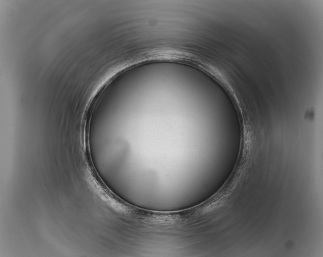 X0000115010843200911091419