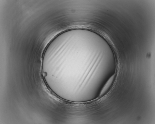 X0000115010844200911091419