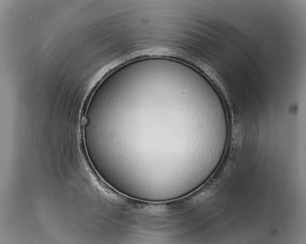 X0000115010845200911091419