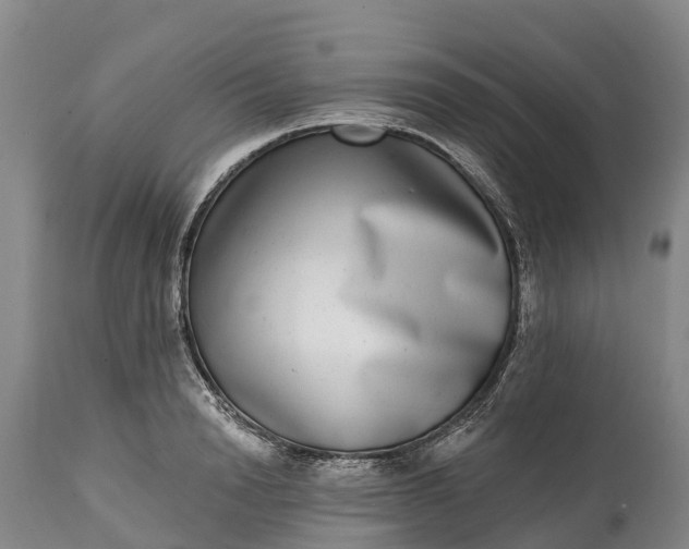 X0000115010846200911091419