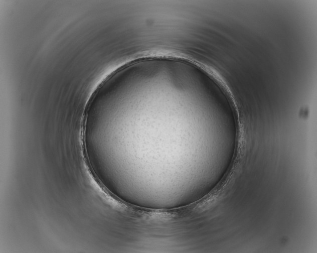 X0000115010847200911091419