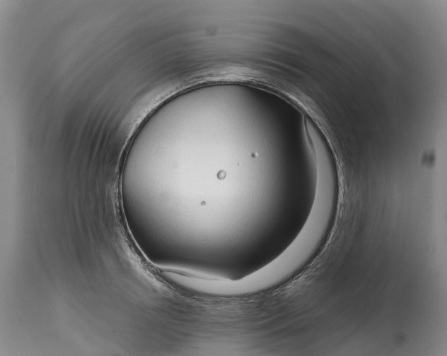 X0000115010850200911091419