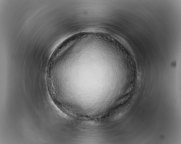 X0000115010855200911091419