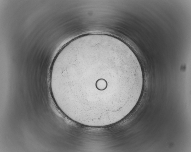 X0000115010856200911091419