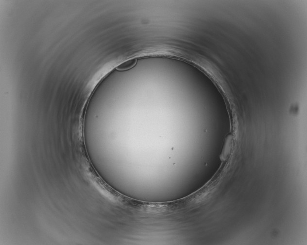X0000115010858200911091419
