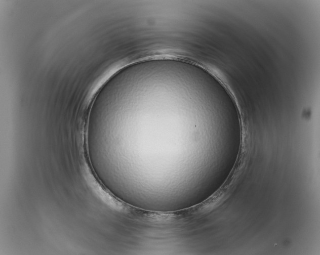 X0000115010859200911091419