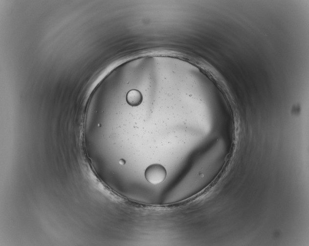 X0000115010860200911091419