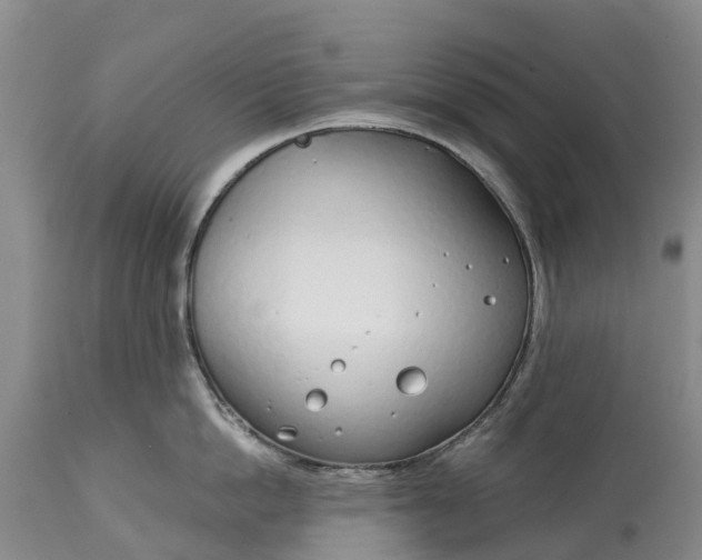 X0000115010862200911091419