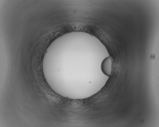 X0000115010865200911091418
