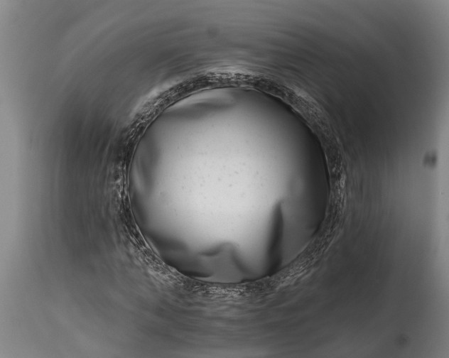 X0000115010870200911091418