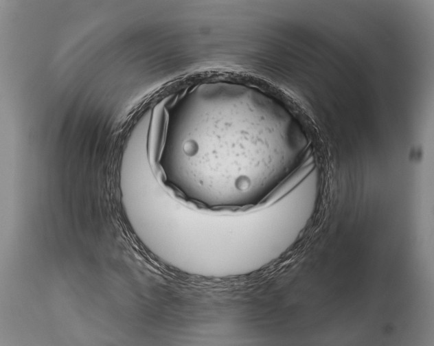 X0000115010872200911091418