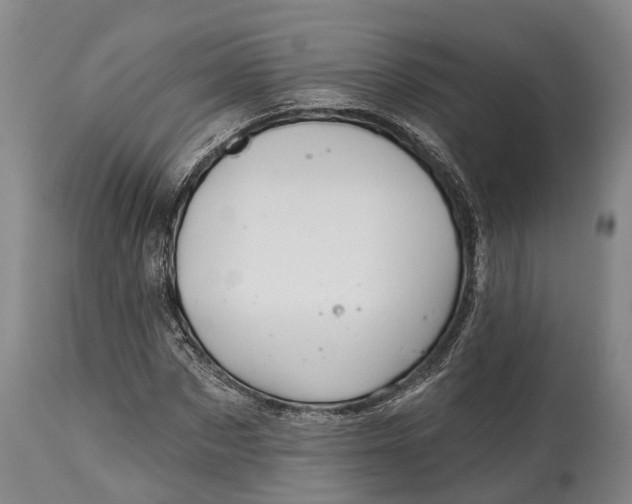 X0000115010873200911091418
