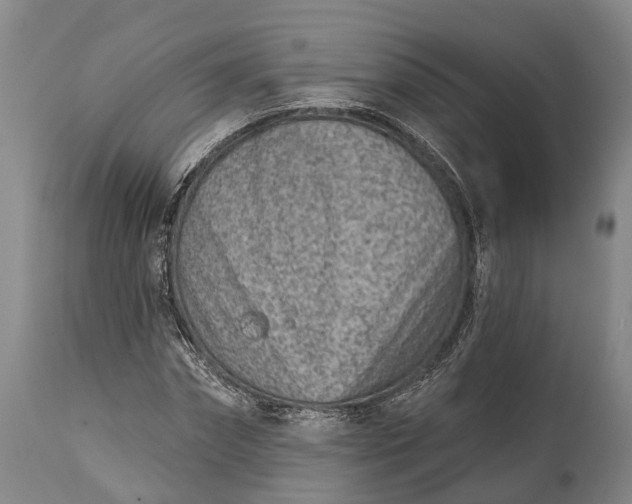 X0000115010874200911091418
