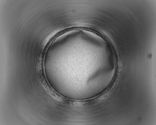 X0000115010875200911091418