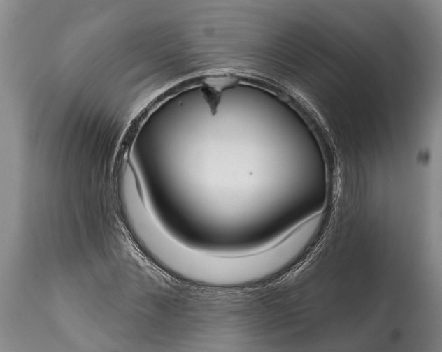 X0000115010876200911091418